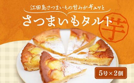 さつまいもたると5号×2個 さつまいも