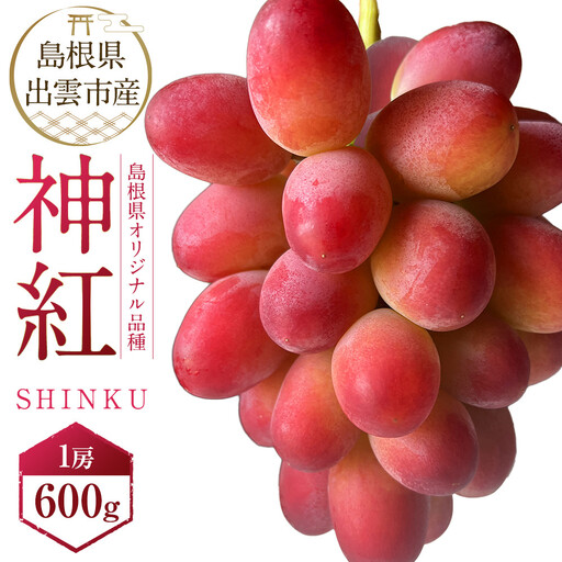 島根県オリジナル品種　神紅1房（500ｇ見当） 甘い 美味しい 新鮮  ぶどう フルーツ 果物 出雲市産