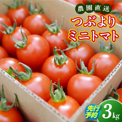 【先行予約】≪2027年1月より順次発送≫農園直送 つぶより ミニトマト 3kg入り