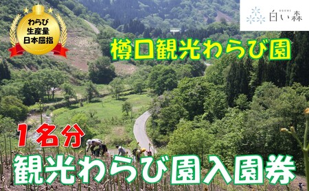 樽口観光わらび園入園券(1名様分)