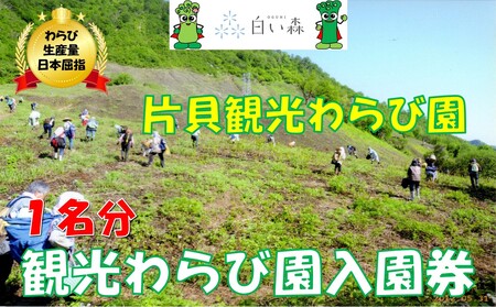 片貝観光わらび園入園券(1名様分)