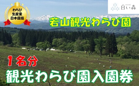 若山観光わらび園入園券(1名様分)