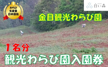 金目観光わらび園入園券(1名様分)