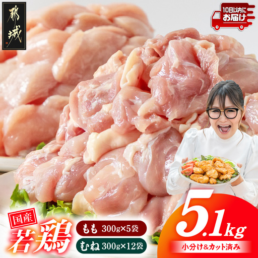 国産若鶏5.1kg 小分けパック!カット済み!(もも300g×5P・むね皮なし300g×12P)≪みやこんじょ特急便≫〔14E-33-007-N5100g-Q〕_(都城市) もも肉 皮なしむね肉 カット済 鶏肉 小分け 若鶏 宮崎 冷凍