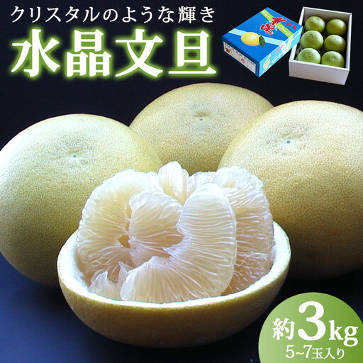 [令和8年9月中旬発送開始]水晶文旦 3kg 文旦 先行受付 ku-0055