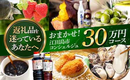 広島県江田島市 コンシェルジュ 30万円 コンシェルジュ