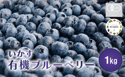 ブルーベリー いかす 有機 ブルーベリー 1kg [7月上旬〜8月上旬お届け]