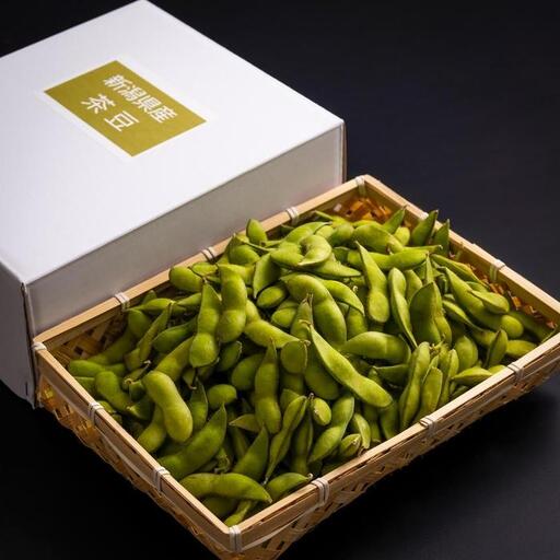 先行予約【新潟県産】くろさき茶豆　【１ｋｇ】　2026年8月～順次発送 新潟 新潟県 茶豆 枝豆 えだまめ お取り寄せ グルメ 1kg 1キロ おつまみ 豆