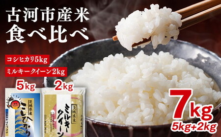 【新米】令和8年産 古河市産 食べ比べ コシヒカリ5kg+ミルキークイーン2kg　合計7kg｜米※2026年9月～発送 _DP27