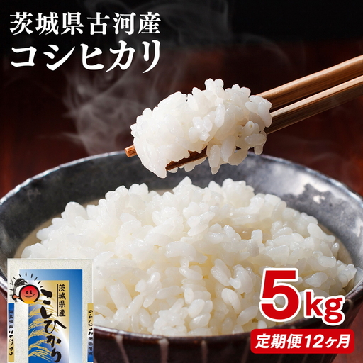 【定期便 12か月】【新米】令和8年産 古河市産コシヒカリ 5kg ｜米 ※2026年9月～発送 _DP36