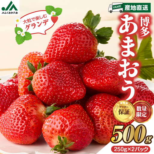 [先行受付:2027年2月発送開始]博多あまおうG250g×2パック