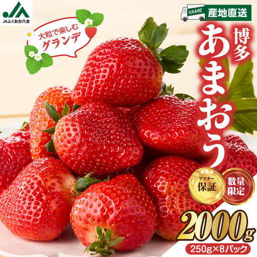 【先行受付：2027年2月発送開始】博多あまおうＧ250g×8パック｜JAふくおか八女 あまおう いちご 苺 イチゴ フルーツ 果物 くだもの 人気 旬 福岡県産 大粒 アフター補償 数量限定 期間限定 産地直送 グランデ 福岡県 八女市 002-023