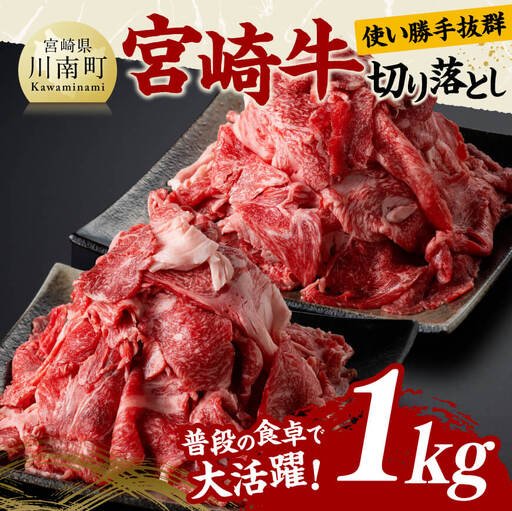 牛肉 宮崎牛切り落とし1kg[ 肉 国産 宮崎県産 黒毛和牛 和牛 切り落とし ]