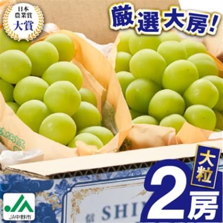2026年先行予約　9月上旬～10月下旬発送JA中野市大粒 大房シャインマスカット2房1.3kg以上【配送不可地域：離島】【1459211】