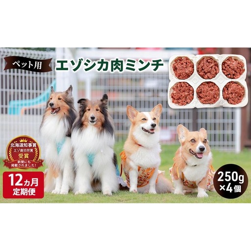 12ヵ月定期便 ペットのおやつ【エゾシカ肉のミンチ】250g×4 南富フーズ株式会社 鹿肉 ジビエ 餌 犬 猫 鹿 ペット 健康 無添加 肉 北海道 南富良野町 エゾシカ 