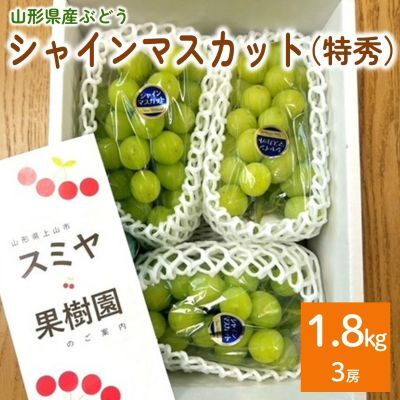 シャインマスカット　３房　合計１.８ｋｇ　特秀品・化粧箱入り　0047-2615