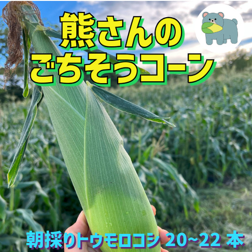 【 冷蔵 クール 】 朝採り トウモロコシ 熊さんのごちそうコーン 20本 ～ 22本 品種 ゴールドラッシュ 合同会社TAMAI WINE　配送先は本州限定 2026年7月下旬頃から2026年8月下旬頃までお申込み順に発送予定まで順次発送予定 令和8年度収穫分 信州 野菜 とうもろこし コーン 長野 予約 農家直送 長野県 飯綱町 [1787]