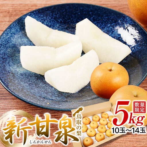 梨 新甘泉梨 5kg ( 5kg × 1箱 )