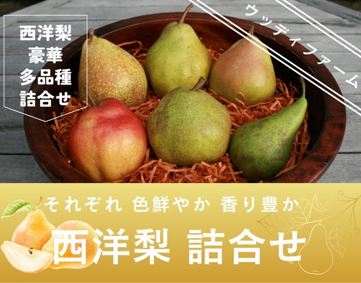 西洋梨3～4種食べ比べセット 5kg ご家庭用 0062-2604
