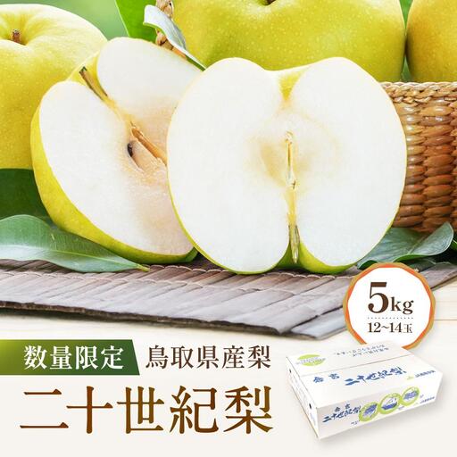 数量限定 鳥取県産 二十世紀梨 5kg（12～14玉） 二十世紀梨