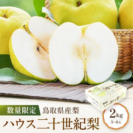 先行予約 数量限定 鳥取県産 ハウス二十世紀梨 2kg（5～6玉） 二十世紀梨
