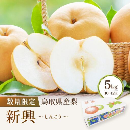 先行予約 数量限定 鳥取県産梨 新興 5kg(10〜12玉) 梨