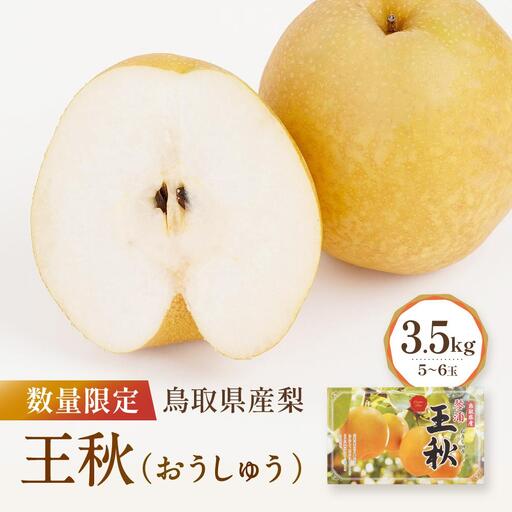 先行予約 数量限定 鳥取県産梨 王秋 3.5kg（5～6玉） 梨