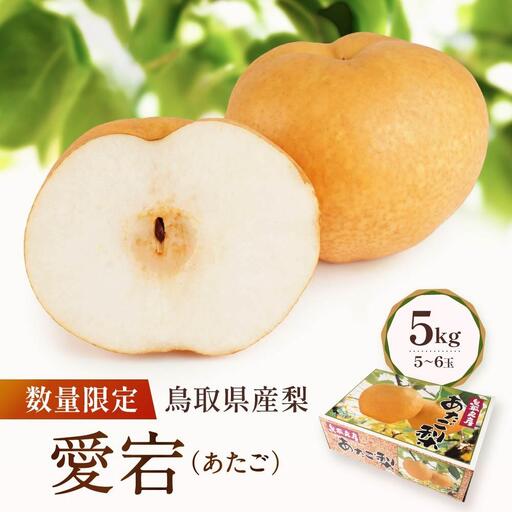 愛宕 5kg 5～6玉 先行予約 数量限定 鳥取県産 梨 梨