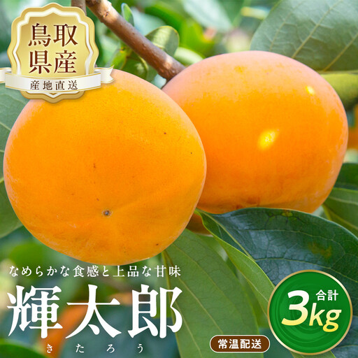 柿 輝太郎（きたろう）3kg 先行予約 数量限定 鳥取県産 柿