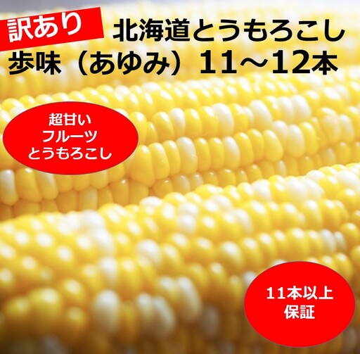 訳あり 北海道 歩味（あゆみ）バイカラーコーン 11～12本入り とうもろこし トウモロコシ 数量限定 期間限定 甘い 朝採れ