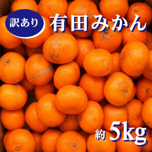 紀州 有田みかん 5kg 訳あり キズ 家庭用 サイズ混合　※2026年11月下旬～2027年1月中旬頃順次発送予定 ※北海道・沖縄・離島への配送不可【sml004-c-5A】