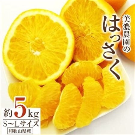 和歌山県産　美濃農園のはっさく 約5kg(皮をむく道具付き)_果物・フルーツ  柑橘 _【1272362】