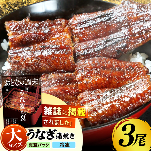 うなぎの蒲焼き 3尾  多治見市/うなぎや[TFO003] 鰻