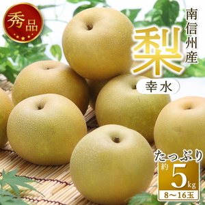 [南信州産]梨「幸水」秀品約5kg(8玉〜16玉)[2027年8月下旬より発送]