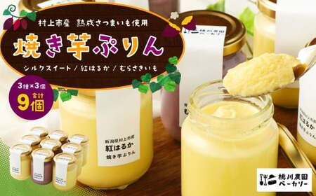 [数量限定][村上市産 熟成さつまいも使用]焼き芋ぷりん3種(紅はるか・シルクスイート・むらさきいも)×3個 計9個セット 1040005
