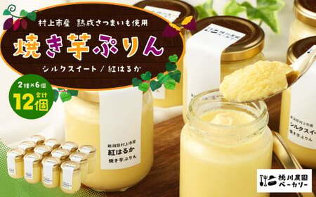 [数量限定][村上市産 熟成さつまいも使用]焼き芋ぷりん2種(紅はるか・シルクスイート)×6個 計12個セット 1040007