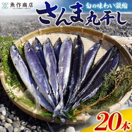 干物 さんま丸干し 20本 干物【uosk0016A】