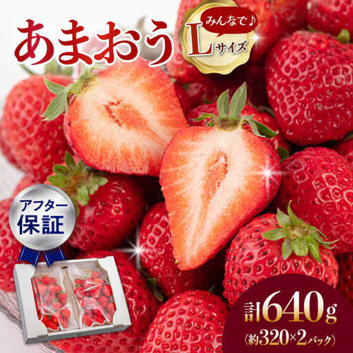 [2027年度先行予約]あまおうLサイズ 約320g×2P [ADAT003] あまおう