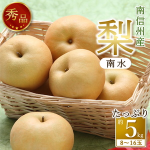 [南信州産]梨「南水」秀品約5kg(8玉〜16玉)[2026年9月中旬より発送]