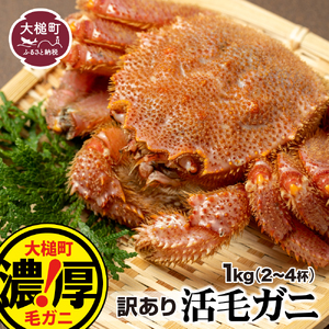 [令和9年発送][訳あり]三陸産 活毛ガニ 1kg(3〜4杯)[08][2027年2月〜4月発送]先行予約|訳ありカニ 国産 冷蔵 三陸 濃厚 かに 蟹 カニ 毛ガニ 毛蟹 毛がに けがに 天然[配送日指定不可]