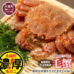 [令和9年発送]三陸産!活毛ガニ 400g×1杯[08][2027年2月〜4月発送][配送日指定不可]