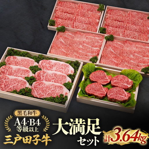 【大容量】国産和牛 大満足セット 3.64kg 黒毛和牛 「三戸・田子牛」