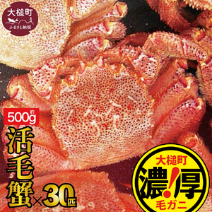 【令和9年発送】三陸産！活毛ガニ 500g×30杯【08】 【2027年2月～4月発送】