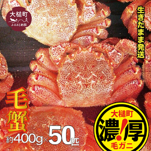 【令和9年発送】三陸産 ! 活毛ガニセット 400g×50杯【08】【2027年2月～4月発送】
