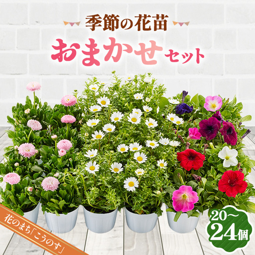 季節の花苗おまかせセット 20～24ポットをお届け 送料無料 No.043
