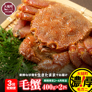 【令和9年発送先行予約】【3回定期便】三陸産 活毛ガニ 400g相当×2杯【08】【期間限定2027年2月～4月発送】