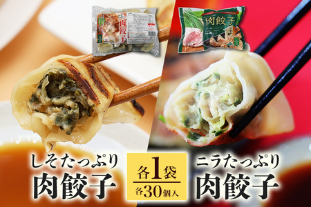 【数量限定】 ニラたっぷり肉餃子・しそたっぷり肉餃子 各1袋 ニラたっぷり肉餃子30個 しそたっぷり肉餃子30個 ぎょうざ ギョウザ 餃子 ニラ にら しそ シソ ローズポーク 豚肉 小美玉産 茨城県産 名産 冷凍 17-AP