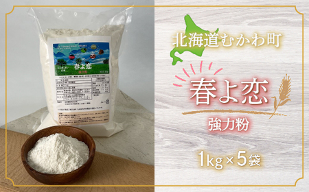 春よ恋(強力粉) 1kg×5袋 MKWR006