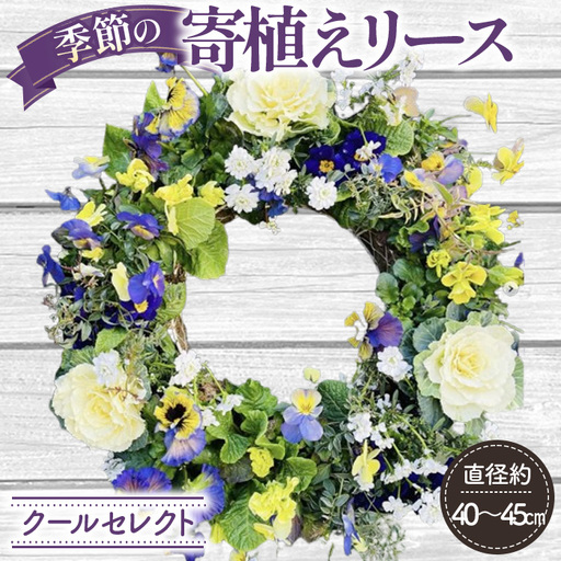 [季節の寄植えリース]クールセレクト*花工房すなが* No.148
