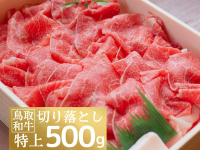 鳥取和牛特上切り落とし 500g 鳥取県産 ご当地ファーム大山望 MK7 0998